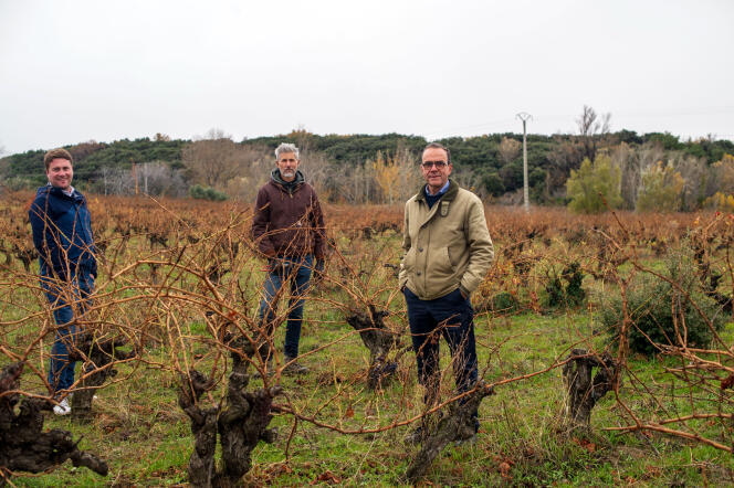 Bertrand Degat, directeur technique du domaine de Fontbonau, Massimo Giudici, maître tailleur de vigne, et Jérôme Malet, propriétaire du domaine, à Montbrison-sur-Lez (Drôme), le 28 novembre 2021.