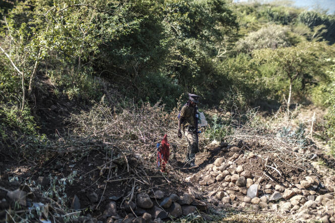 Un homme marche au milieu des tombes fraîches d’habitants de Teraf, près de Kemise, en Ethiopie, le 10 décembre 2021. Vingt-cinq hommes ont été tués pendant l’attaque et l’occupation des lieux par les Forces de défense tigréennes et leurs alliés de l’Armée de libération oromo.