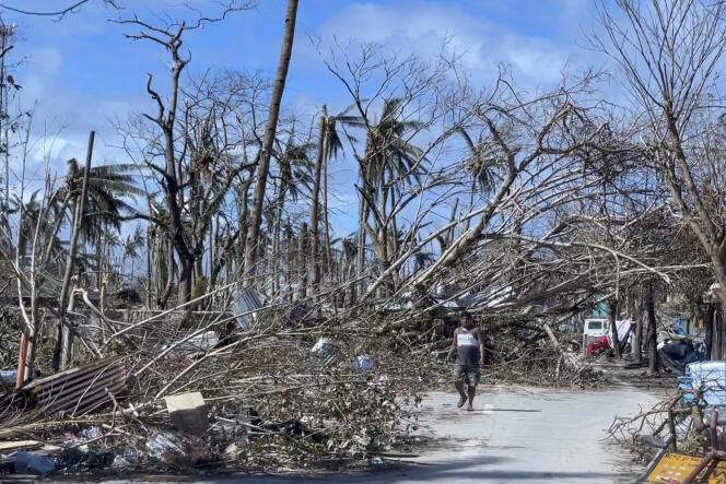 Typhoon Rai killed at least 375 trees in the Philippines.  Here, December 19, 2021.