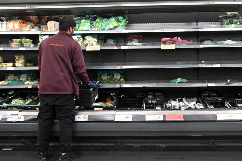 A worker restocks empty shelves of lettuce and salad leaves inside a Sainsbury's supermarket in London on September 7, 2021. - Sparse shelves in some shops, empty shelves in others: the shortages affecting UK businesses are also seen in supermarkets across the country, a consequence of the pandemic and Brexit. "We had already decided to reduce our stock because of the Covid, but now we are having trouble supplying ourselves with certain products because they are simply not available", laments Satyan Patel, manager of a mini-market in the center of London. (Photo by JUSTIN TALLIS / AFP) / TO GO WITH AFP STORY BY Olivier DEVOS