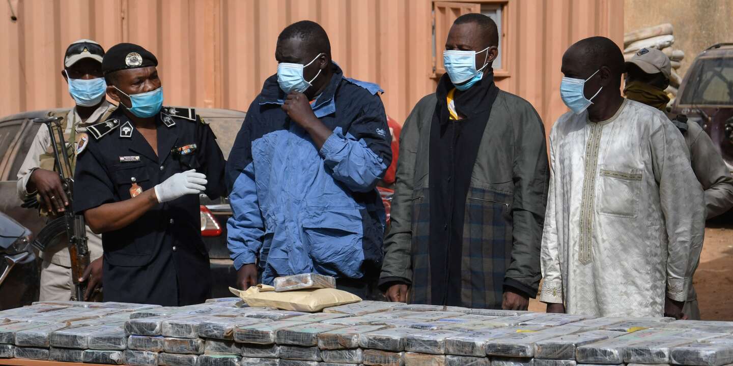 Saisie record de 214 kilos de cocaïne dans le nord du Niger