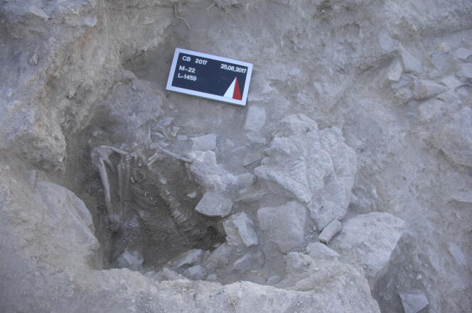 Articulated skeleton of a young man in the rubble of the Tsunami in Tchesmé. The curve of the excavation around the skeleton marks the extent and shape of the deposit.