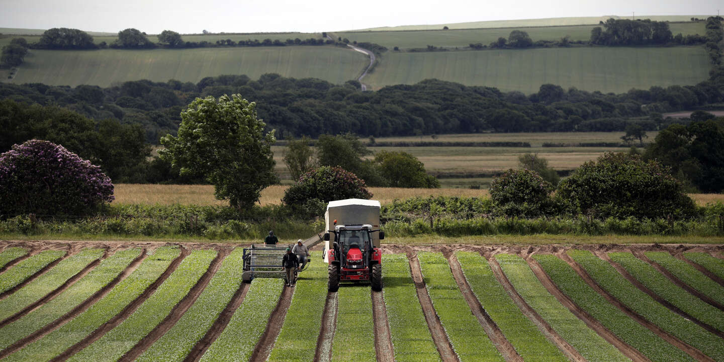 UK will reserve subsidies for farms that protect the environment