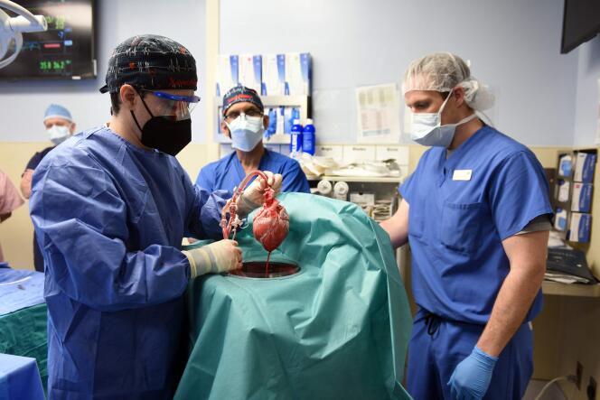 Des chirurgiens de l’école de médecine de l’université du Maryland pratiquent la greffe d’un cœur de porc sur David Bennett Sr., à Baltimore, le 7 janvier 2022.