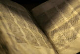 « Aux racines du livre », de Filippo Ronconi : Rouleaux, tablettes et codex, la révolution du livre