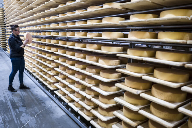 Dans le local d’affinage des fromages à raclette, à la laiterie d’Orsières (Suisse), le 13 janvier 2022.