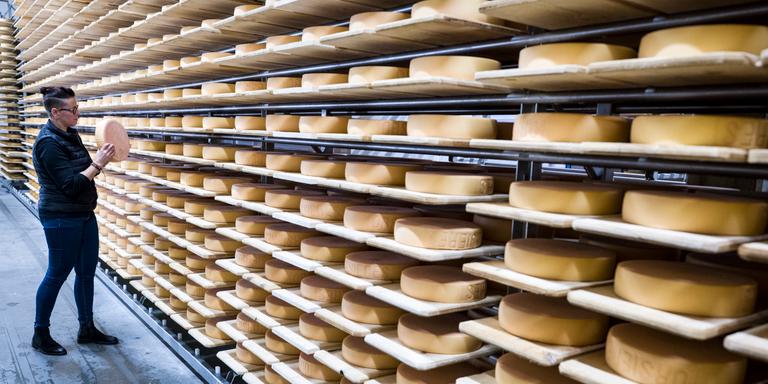 En Suisse, la raclette est dans toutes les têtes