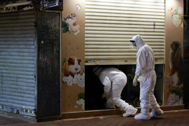 Opération d’annihilation de hamsters, à Hongkong, le 18 janvier 2022.