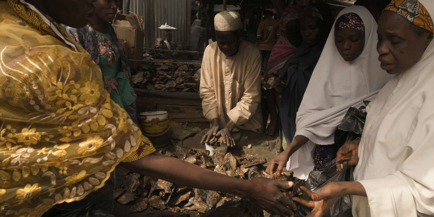 Au Nigeria, le difficile retour à la vie des habitants de Maiduguri, hantés par Boko Haram