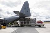 Un avion militaire néo-zélandais s’apprête à convoyer vivres et matériel de secours vers les îles Tonga, à Auckland, le 20 janvier 2022.