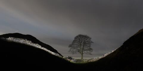 A section of Hadrian's Wall is illuminated during a long exposure near the wall's milecastle 39 known as Sycamore Gap near Hexham, northern England on January 19, 2022. This year marks the 1900 anniversary of the start of the construction of Hadrian's Wall, which took 6 years to complete and was built to guard the northern frontier of the Roman Empire in 122 AD. The wall ran for 73 miles from the Solway Firth to Wallsend on the River Tyne and is now designated a UNESCO World Heritage Site. The wall featured over 80 milecastles or forts, two observation towers and 17 larger forts. After the Romans left Britain in the early 5th century, some 300 years after the wall was constructed, large sections of the wall fell into decay and were recycled into local buildings and houses. (Photo by OLI SCARFF / AFP)