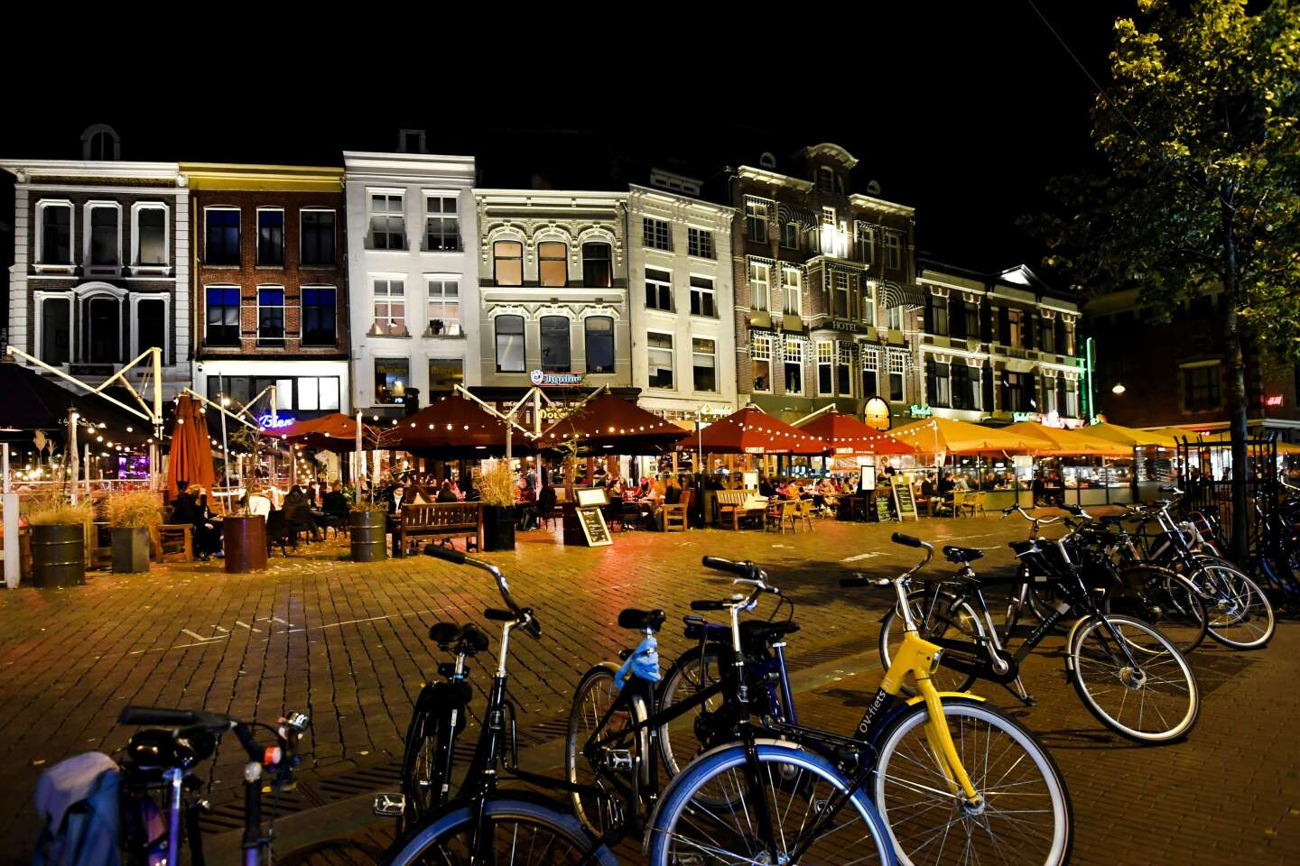 Heropening van bars, restaurants en culturele locaties in Nederland