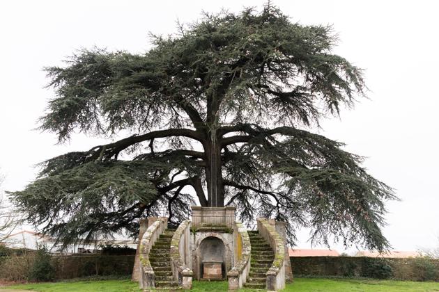 A Saint-Macaire-en-Mauges (Maine-et-Loire).