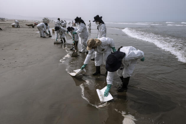 Playa Ventanila, cerca de Lima, 28 de enero de 2022. Un equipo contratado por una empresa financiada por Reps está limpiando con algunas herramientas.  Después de que se derramaran 1,65 millones de litros de crudo el 15 de enero de 2022, utilizan trozos de tela para sacar el crudo de la superficie del océano.  Ninguno de los trabajadores tenía experiencia en desastres ambientales.