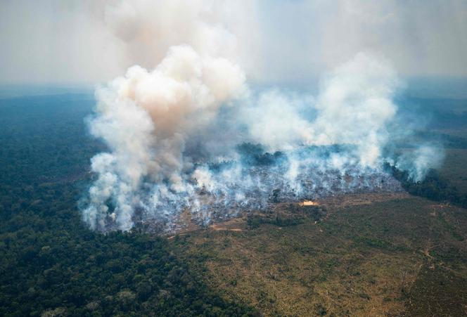 Unforgettably in the parc nature of the national Chiribiquete, in the north-easternmost Amazon colombian, on 4 February 2022.