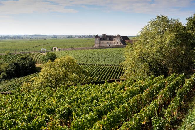 Les vignobles du domaine Georges Roumier et le château du Clos de Vougeot, à Chambolle-Musigny, en Côte-d’Or, en septembre 2017.