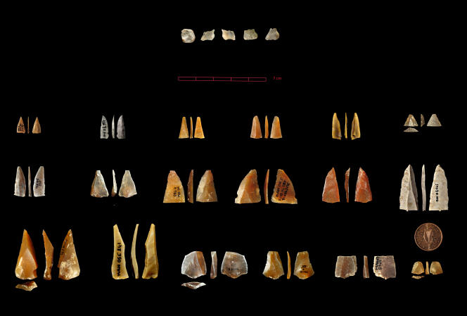 Pointes microlithiques standardisées caractérisant la culture du Néronien et la toute première arrivée des hommes modernes en Europe, en territoire néandertalien. Vue sous plusieurs angles, la dent en haut de l’image est celle d’un « homo sapiens » d’il y a 54 000 ans. Cet enfant était âgé de 2 à 6 ans. La pièce d’un centime d’euro donne l’échelle.
