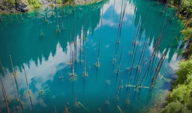 La forêt sous-marine du lac Kaindy, dans les montagnes kazakhes. A découvrir dans « Merveilles de la nature », série documentaire d’Eric Ellena.