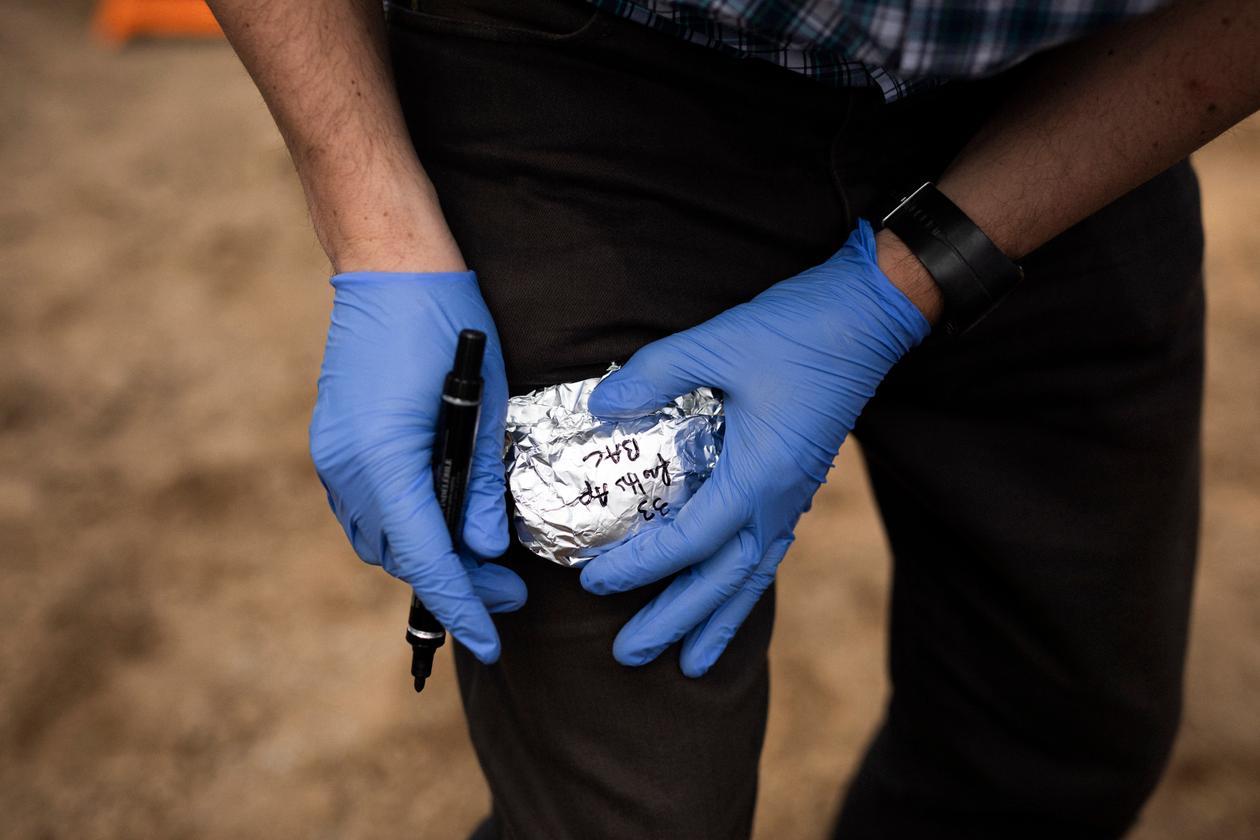 Une fois les prélèvement effectués, les patchs sont soigneusement emballés dans du papier aluminium, à Lingèvres (Calvados), en mai 2021.