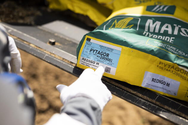 The container bags in which the maize seed is delivered bear the name of the fungicides - prothioconazole and metalaxyl - but no warning about the protection which should be worn. Lingèvres (Calvados), 28 May 2021.