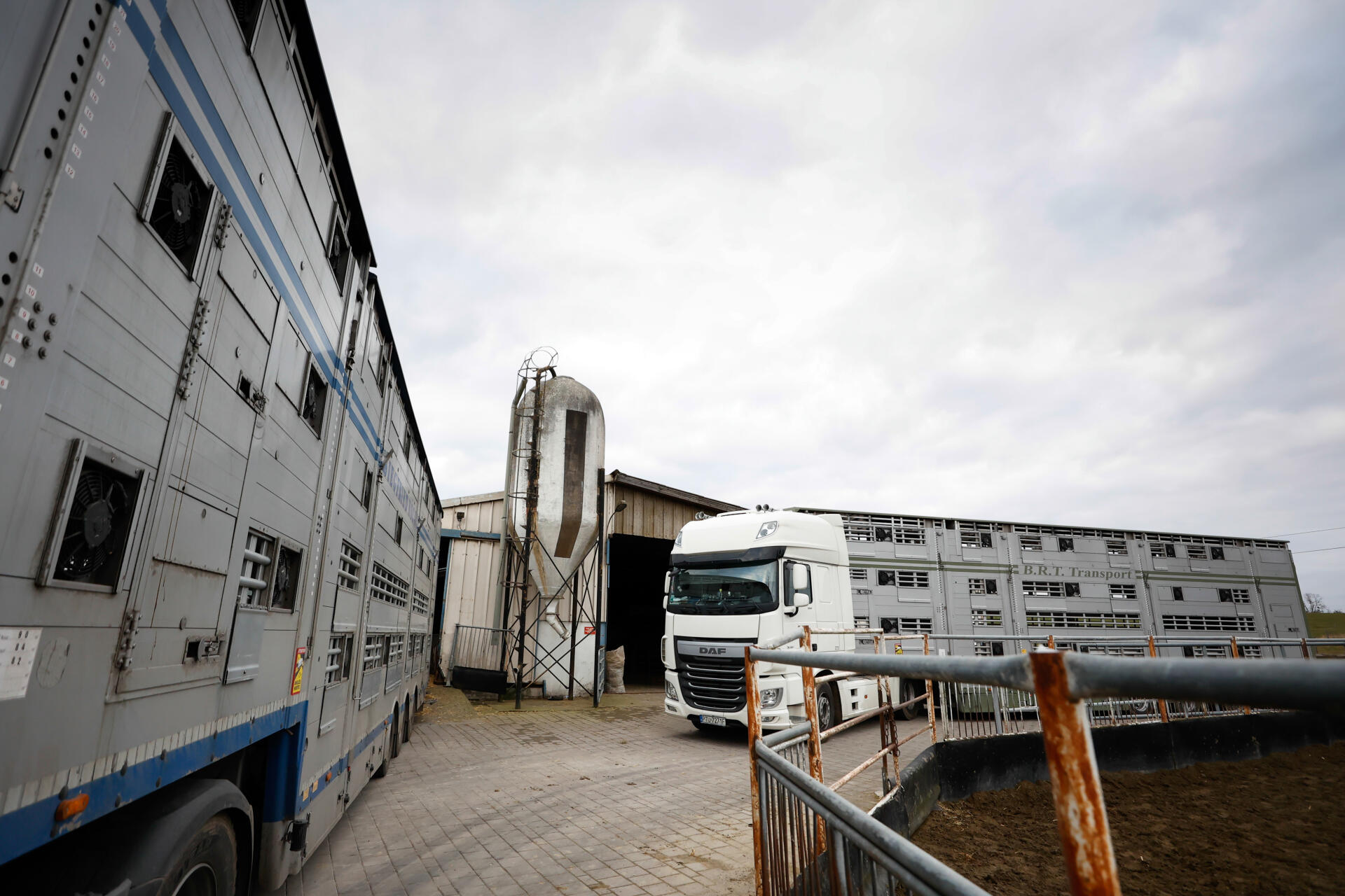 Cette ferme étape accueille des animaux en transit. Les camions de transports de veaux sont pour la plupart originaires de République tchèque ou de Pologne et traversent l’Europe jusqu’en Espagne. Le 10 février 2022, à Kappelen (Haut-Rhin).