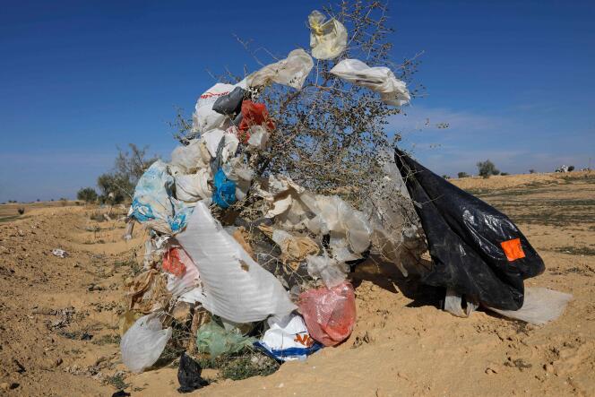 Des sacs en plastique accrochés à un arbre après une tempête près de la décharge de Dudaim dans le désert du Néguev en Israël, le 19 janvier 2019.