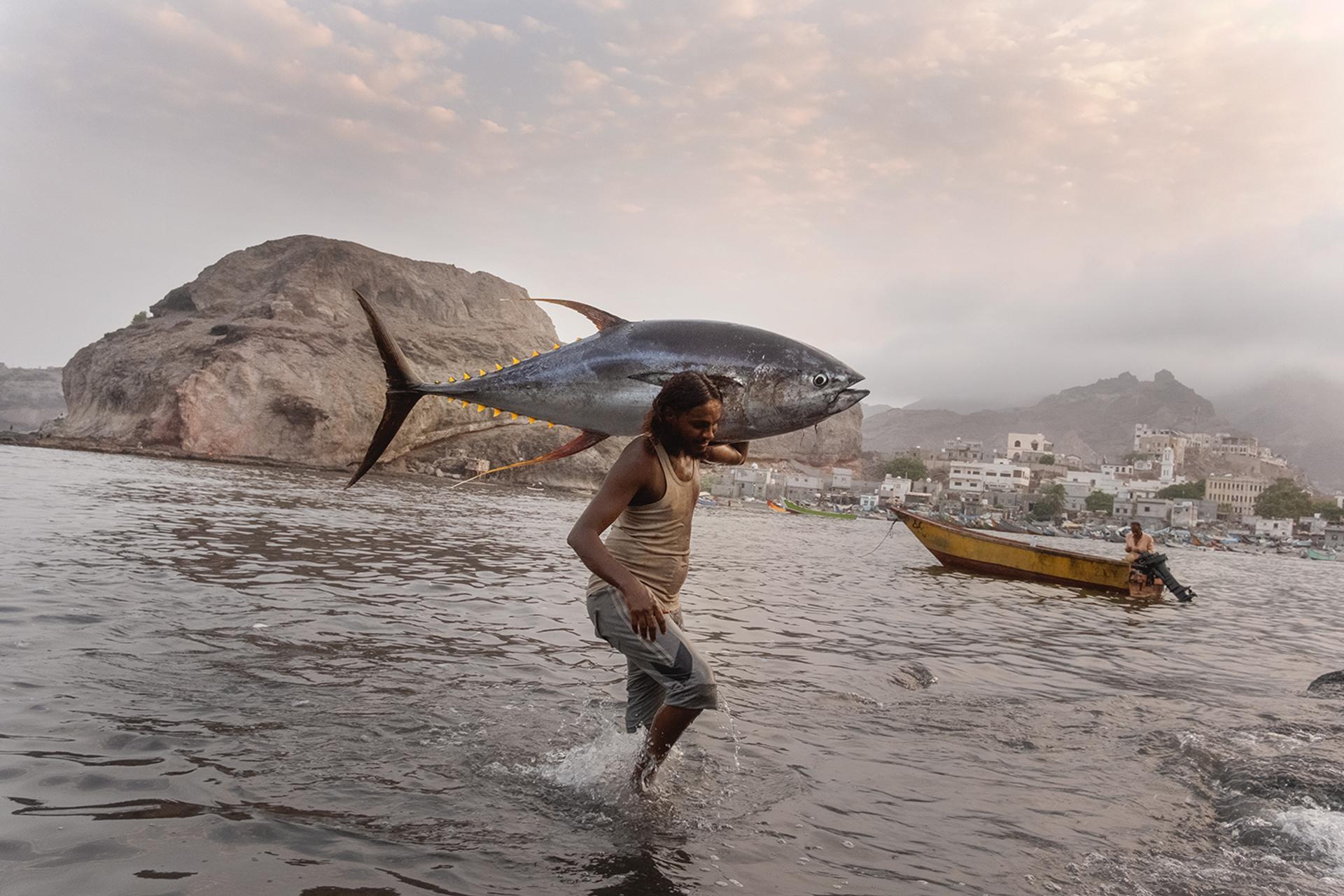 Près du marché aux poissons de Sira, à Aden, un « muhamasheen » transportant un thon, le 31 août 2021.