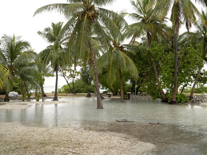 L’île de Felidhoo, aux Maldives, prise par les eaux, le 8 février 2022.