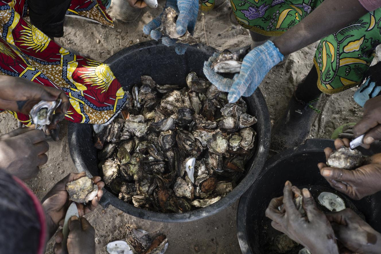 Un groupe de femmes décortique des huîtres, à Toubakouta, en janvier 2022.