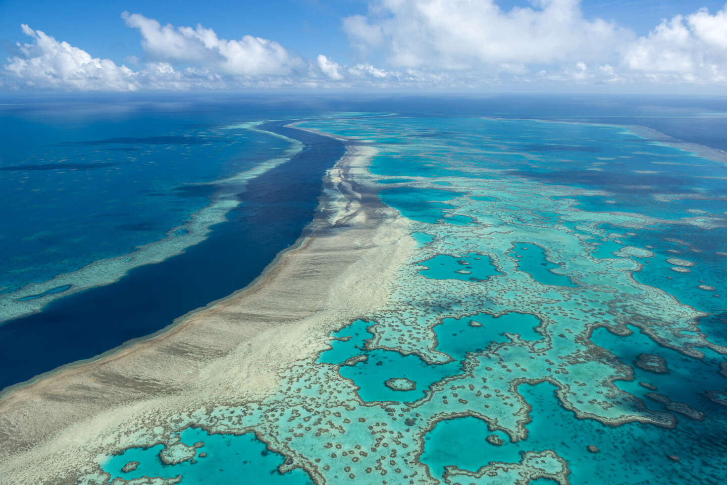 Réchauffement climatique en Australie la Grande Barrière de corail victime dun vaste