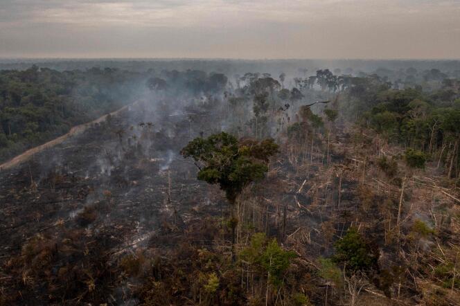 Ein verbranntes Gebiet im Amazonas-Regenwald in der Nähe der Stadt Porto Velho im brasilianischen Bundesstaat Rondônia, 15. September 2017.