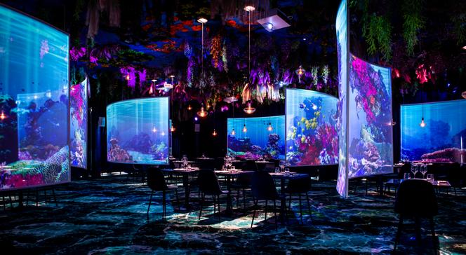 Plongée dans les fonds marins, dans la salle d’Ephemera, à Paris.