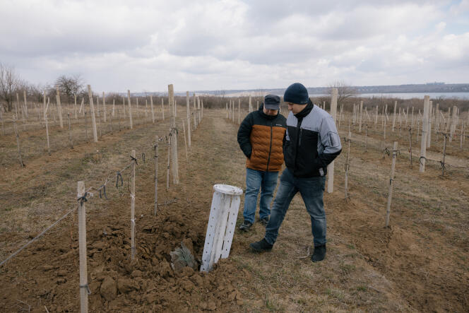 Roquette Smerch (à sous munitions) retrouvée dans le champ viticole de Mikhaïl Molchanov et son fils, dans un village à la périphérie d'Odessa, le 9 mars 2022.
