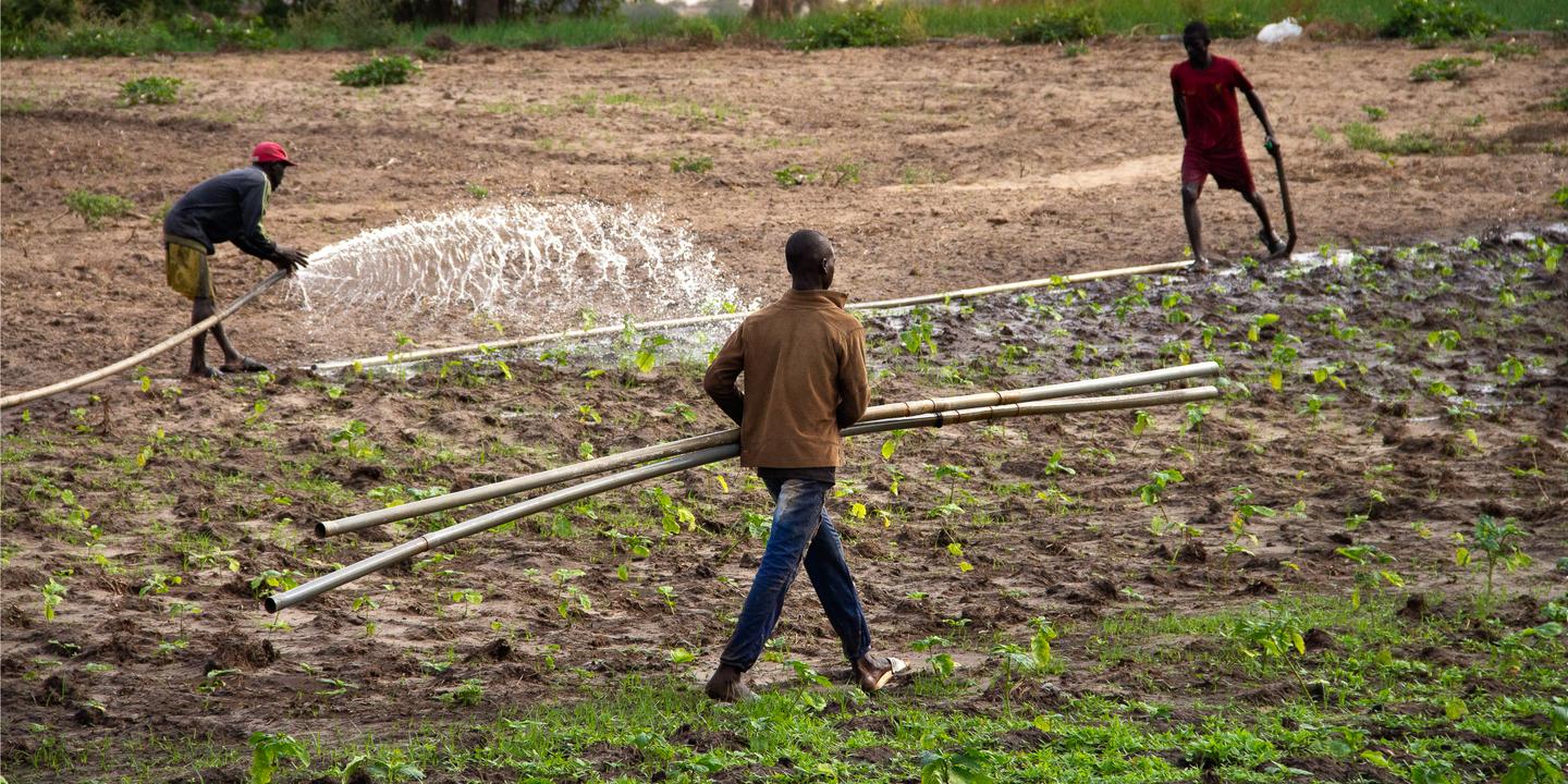 Le « grenier » du Sénégal en quête d’eau