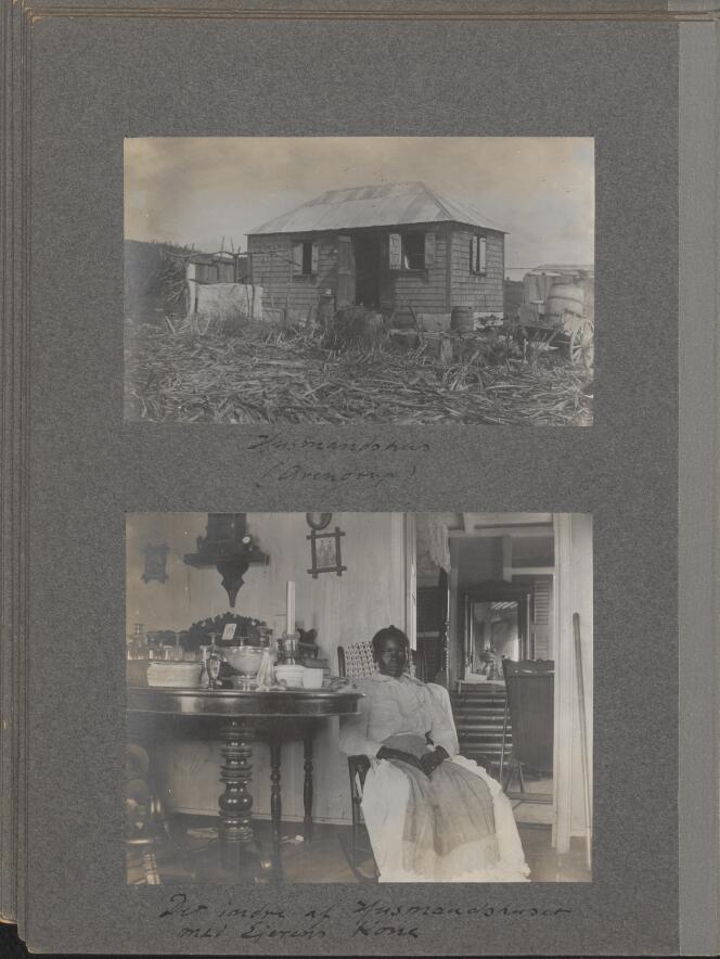 Amateur photographs taken by the Danish pharmacist Alfred Paludan-Müller on his property in St. Croix, Danish West Indies, in 1900.