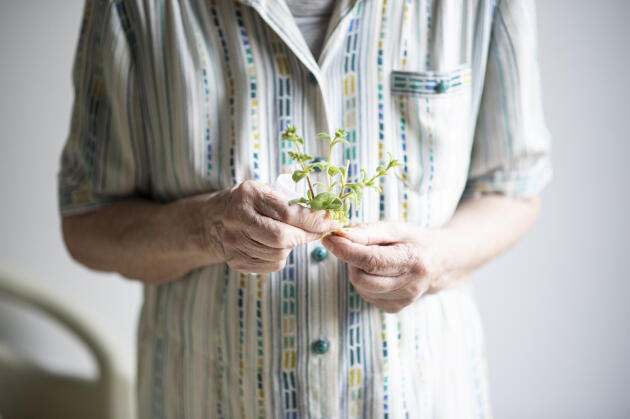 Une résidente tient dans ses mains les herbes qu'elle vient de cueillir dans le jardin intérieur de l'établissement depuis la fenêtre de sa chambre, le 25 mars 2022.
