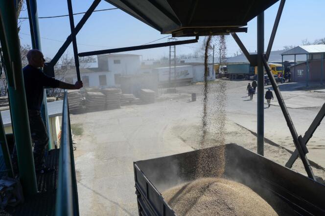 Un camion de transport reçoit un chargement de blé, dans le village de Bogatoye (Ukraine), le 24 mars 2022.