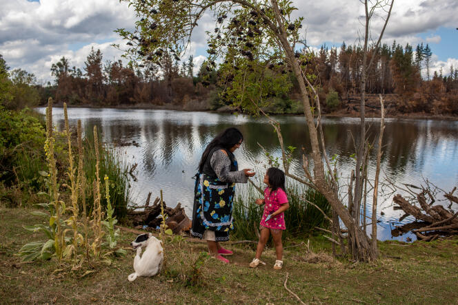 Carolina Soto Campos and her daughter Sofia, from the Mapuche community Lof Dawulko Karulen, near their home, March 3, 2022. Carolina and her family occupy six hectares of land, currently owned by a forestry company.