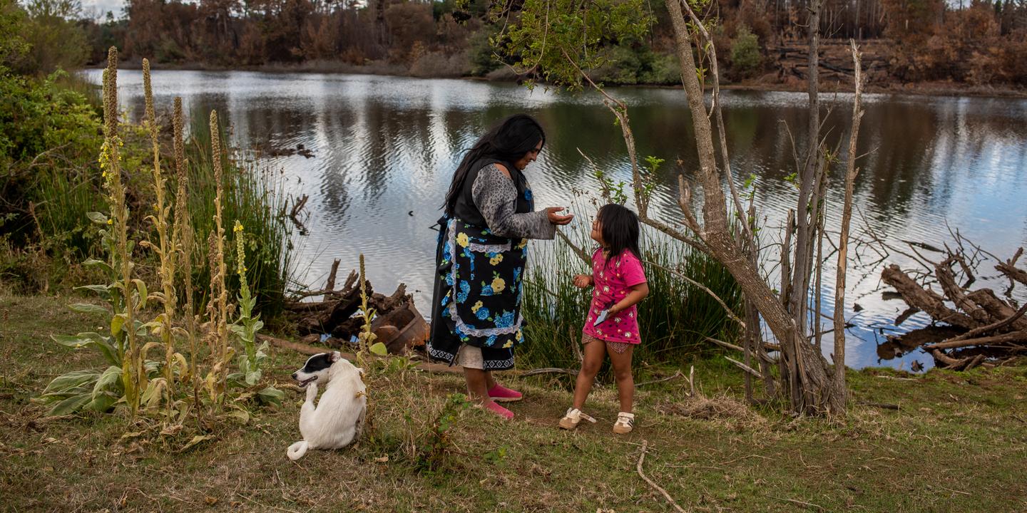 In Chile, the Mapuche Indians want to reclaim their land