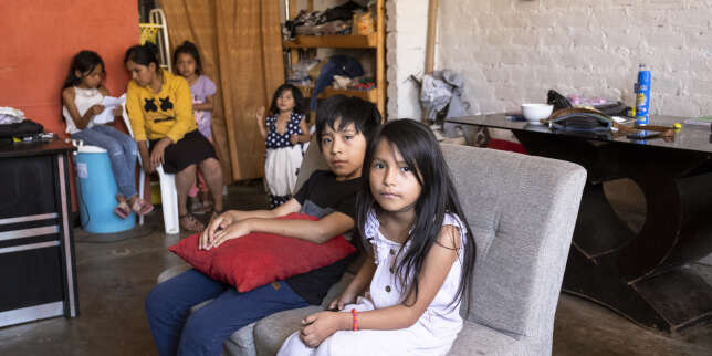 Au Pérou, une génération d’orphelins du Covid-19