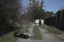 Bucha, Ukraine, le 7 avril 2022 Le corps d’Oleg Diyun, trouvé mort près d’un angle de la rue Ivan Franka, Photo Laurent Van der Stockt pour Le Monde