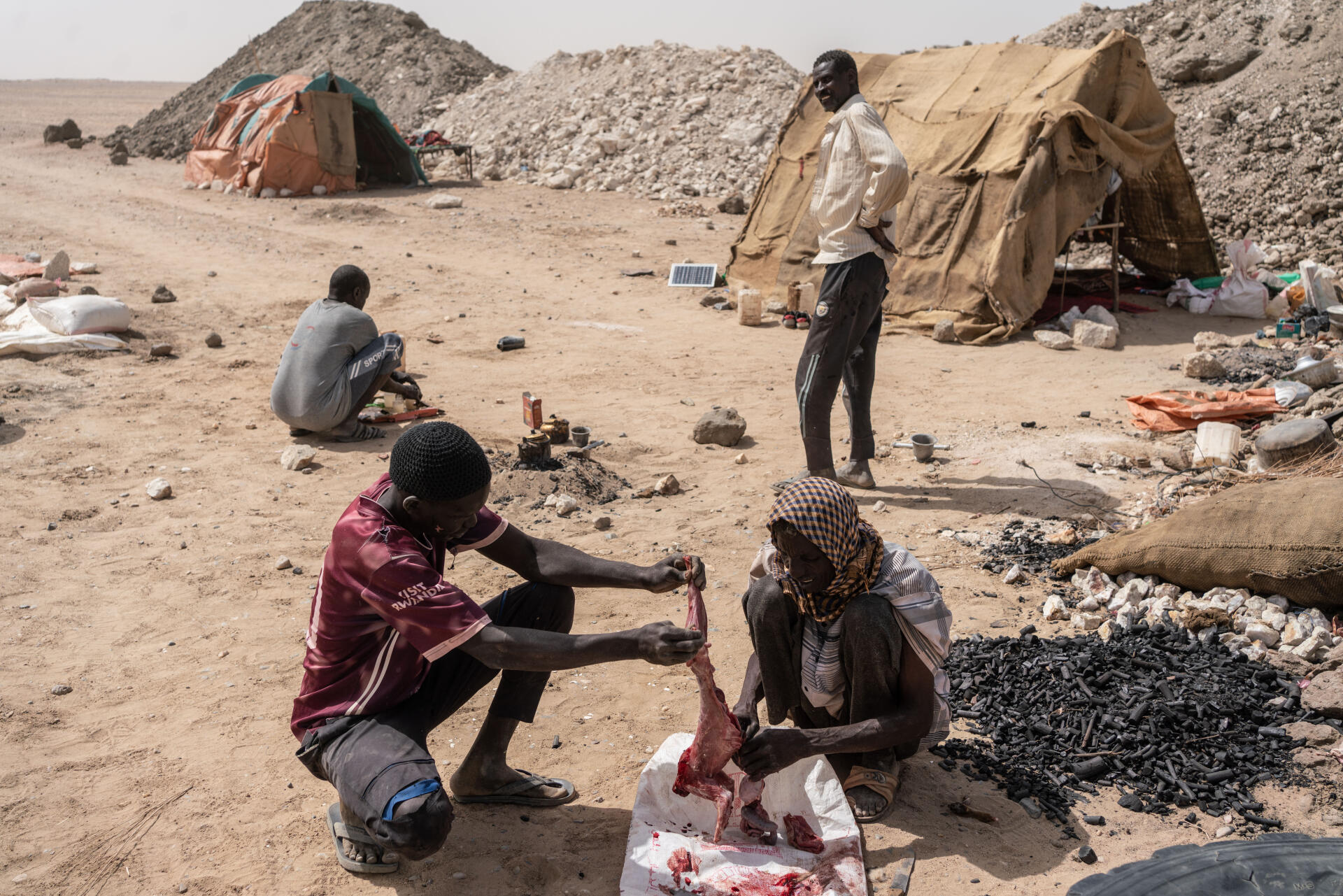 Des mineurs préparent un chat sauvage pour leur repas, dans le nord du Soudan, le 23 mars 2022