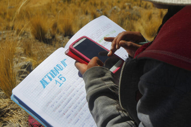 A 16-year-old student takes an online class from a hilltop, the only place where she can get phone signal, in the community of Conaviri, in the Peruvian Andes, in July 2020.