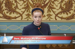 This image taken from video provided by the Michigan Senate shows Sen. Mallory McMorrow speaking on Tuesday, April 19, 2022. The Michigan lawmaker, mother and LGBTQ rights backer who was falsely accused of wanting to "groom' kids" by a Republican colleague drew widespread praise for defending herself in a 5-minute speech from the Senate floor. McMorrow, who has not gotten an apology, said she will not stop forcefully addressing such attacks. (Michigan Senate via AP)
