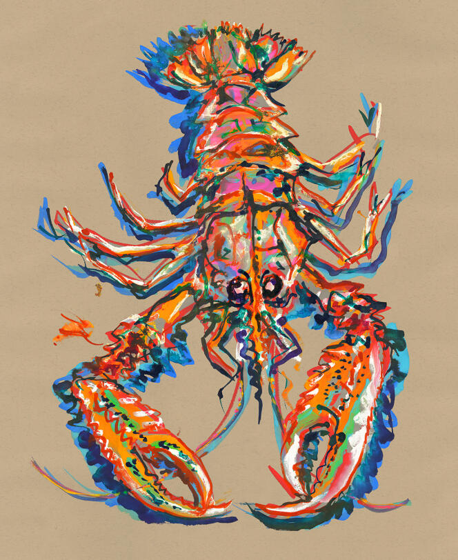 The langoustine lives in sandy or muddy bottoms, where it digs its burrow.