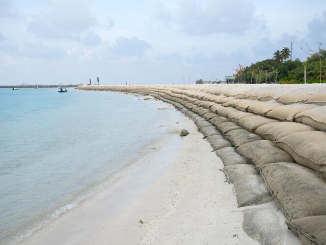 Des sacs géotextiles contenant du sable remblaient la plage de l’île de Guraidhoo, aux Maldives, en février 2022. 