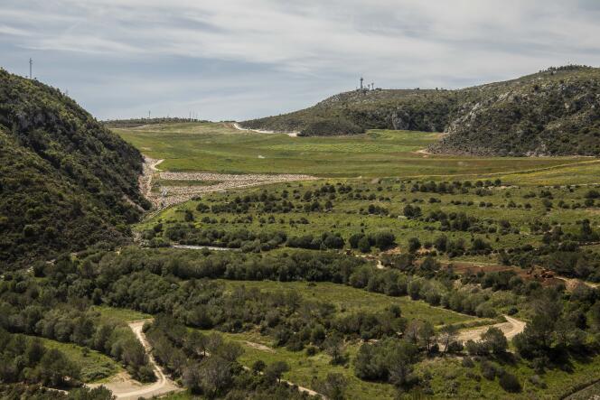 Garraf Nature Park, shown here on April 26, 2022, is ordered in terraces created above the waste, with waterproofing and gas and fluid collection systems rooted within.