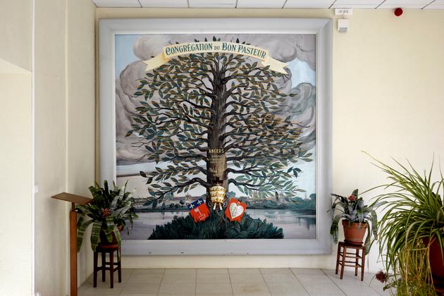 « L’arbre des fondations de la congrégation » dans la maison mère du Bon Pasteur, à Angers, le 25 février 2022.