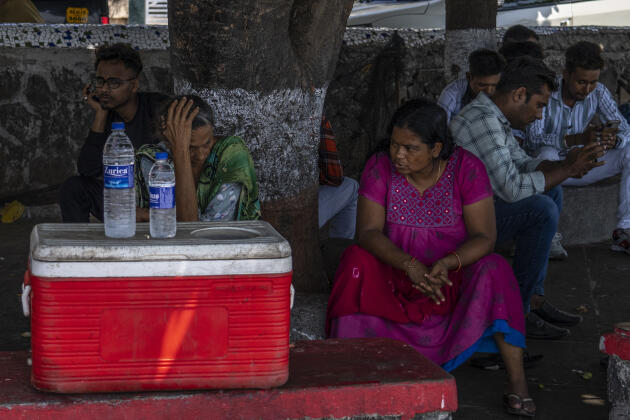 People sit in the shade of a tree to protect themselves from the sun in Bombay, India, Sunday, May 1, 2022. 