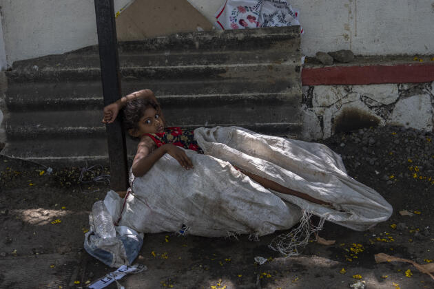 Rajpiks sit on a sack under the shade of a tree to protect themselves from the sun, in Mumbai on Sunday, May 1, 2022.
